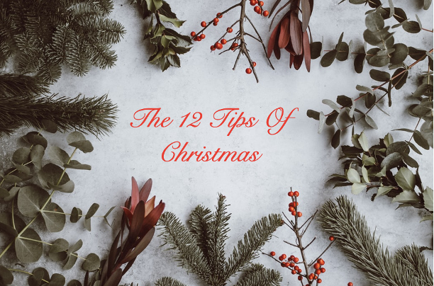 The Twelve Tips Of Christmas